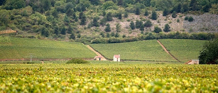 french wine gifts personal wine